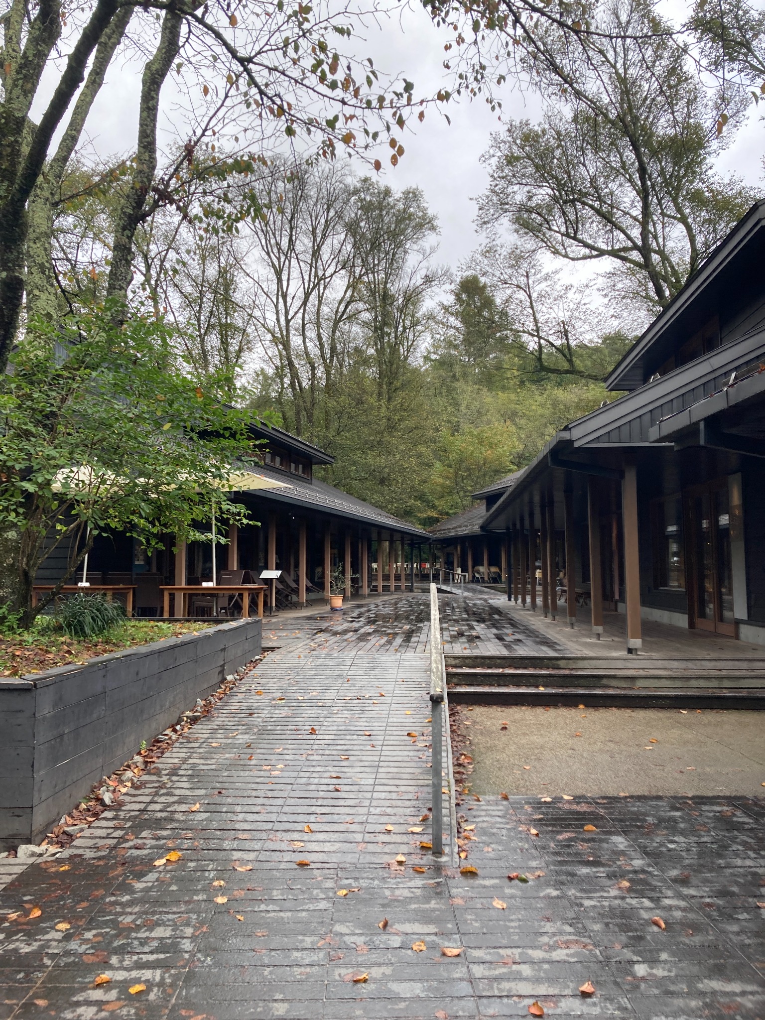 雨の日の軽井沢マリオットホテル敷地