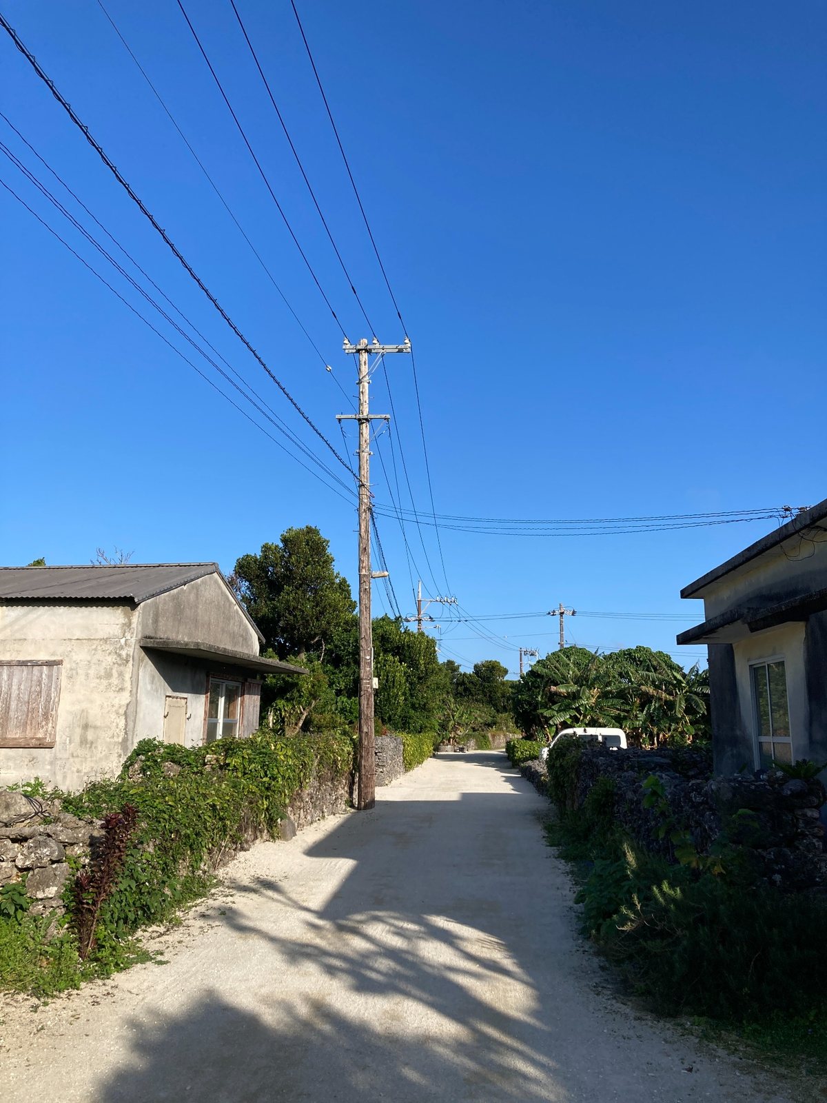 石垣と建物が並ぶ竹富島の集落の道